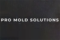 ProMold Solutions logo