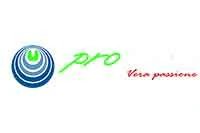 Promould Engineering logo