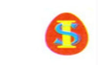 Shivleela Industries